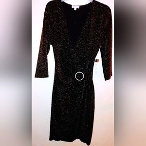 NWT Women's Luxology Dress with 3/4 Sleeves - M